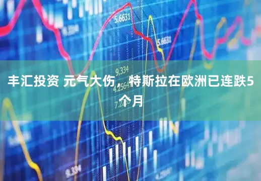 丰汇投资 元气大伤，特斯拉在欧洲已连跌5个月
