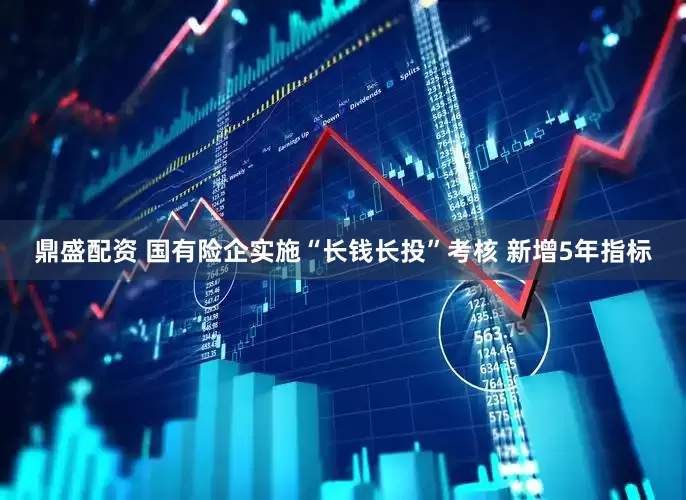 鼎盛配资 国有险企实施“长钱长投”考核 新增5年指标