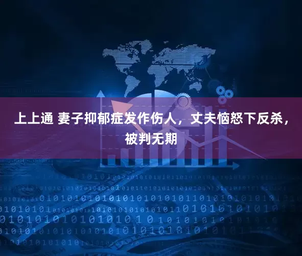 上上通 妻子抑郁症发作伤人，丈夫恼怒下反杀，被判无期