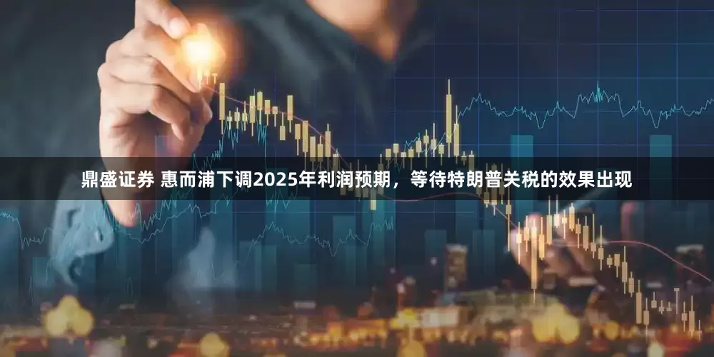 鼎盛证券 惠而浦下调2025年利润预期，等待特朗普关税的效果出现