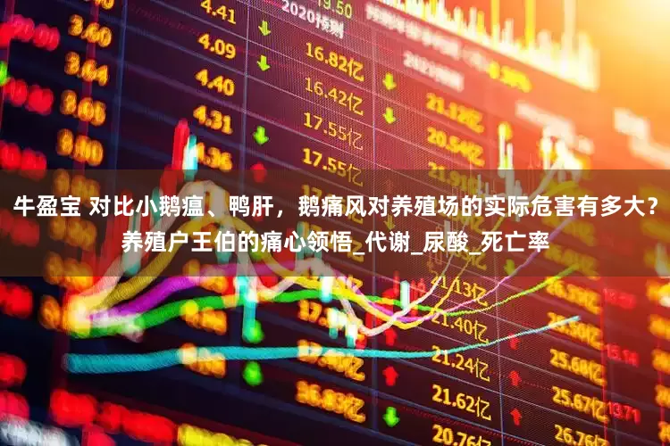 牛盈宝 对比小鹅瘟、鸭肝，鹅痛风对养殖场的实际危害有多大？养殖户王伯的痛心领悟_代谢_尿酸_死亡率