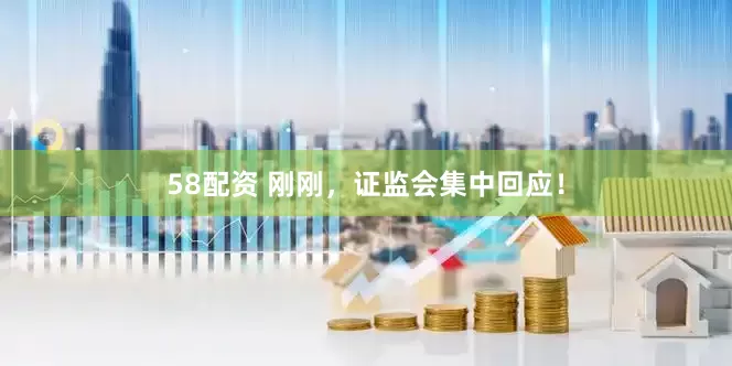 58配资 刚刚，证监会集中回应！